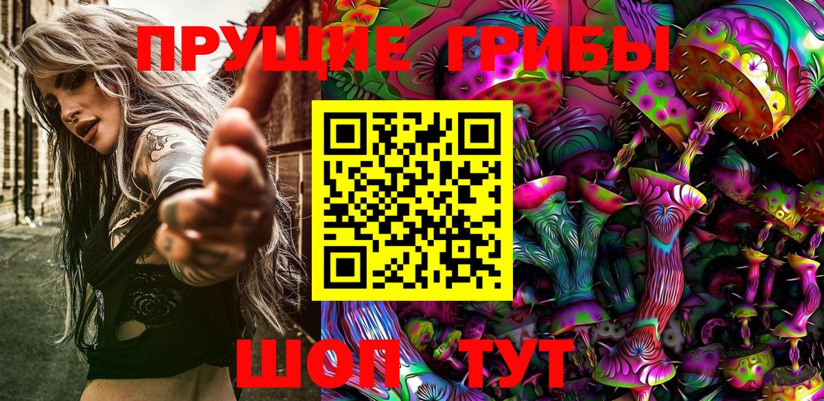 Саяногорск  где продают наркотики  Вход с VPN  Псилоцибиновые грибы прущие грибы 